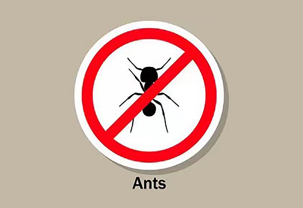 红火蚁怕什么     溧阳中环生物科技有限公司